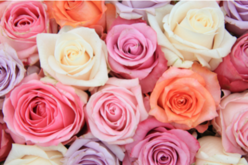 Top 5 Eco Friendly Flowers for Ethical Bouquets