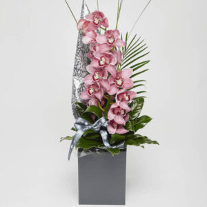 modern Cymbidium hand tied Orchid online flower Sheffield