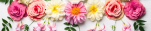 online flowers Sheffield florist