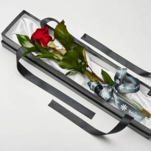 single red rose in presentation box for valentines day