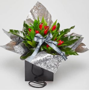 tulip bag bouquet online flowers Sheffield